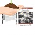 German Chamomile Herb Garden Seeds - 1 Oz - Non-GMO, Heirloom Herbal Gardening & Microgreens - Matricaria recutita   566877256